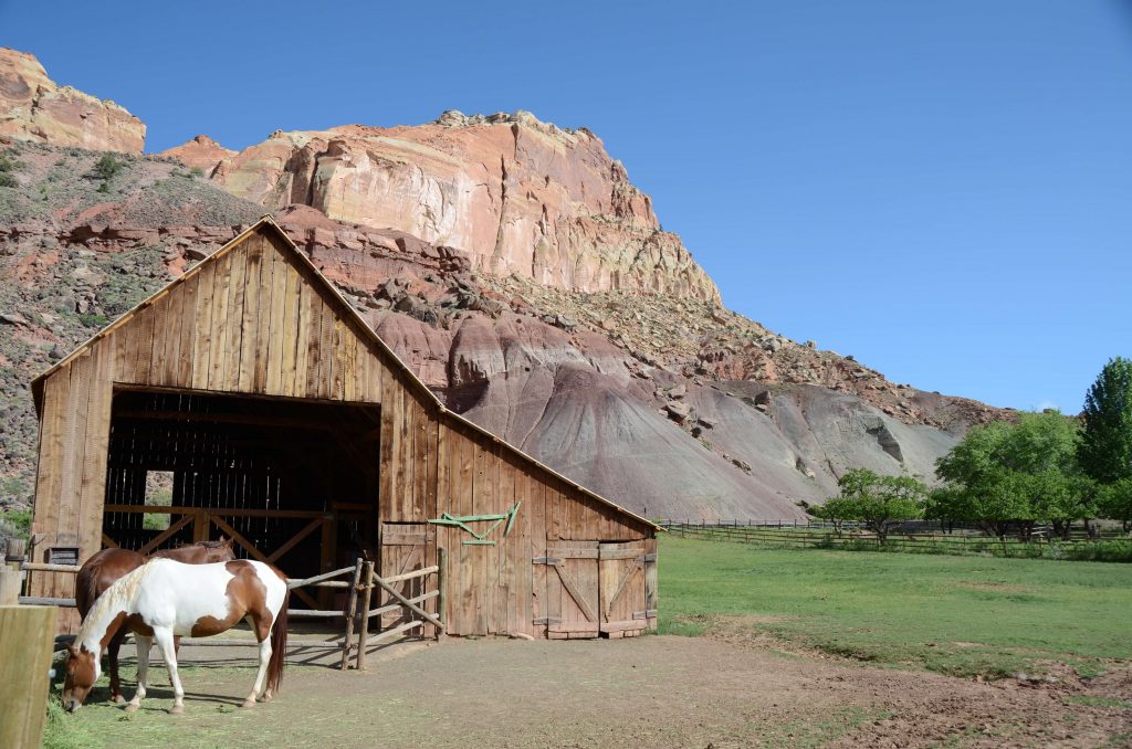 Gifford Homestead - Capitol Reef National Park (U.S. National Park Service)