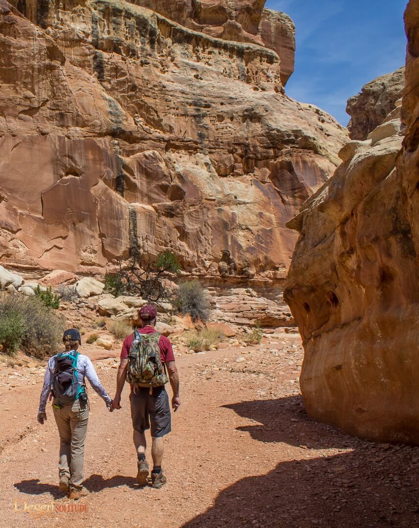 Capitol Reef Grand Wash • Desert Solitude